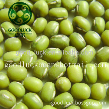 Price for Green Mung Beans